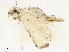  ( - CBG-A04583-H07)  @11 [ ] CreativeCommons - Attribution (2023) CBG Photography Group Centre for Biodiversity Genomics