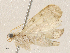  ( - CBG-A05363-E03)  @11 [ ] CreativeCommons - Attribution (2023) CBG Photography Group Centre for Biodiversity Genomics