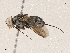  ( - CBG-A05363-E07)  @11 [ ] CreativeCommons - Attribution (2023) CBG Photography Group Centre for Biodiversity Genomics