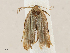  ( - CBG-A05363-E11)  @11 [ ] CreativeCommons - Attribution (2023) CBG Photography Group Centre for Biodiversity Genomics