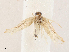  ( - CBG-A05365-B04)  @11 [ ] CreativeCommons - Attribution (2023) CBG Photography Group Centre for Biodiversity Genomics
