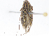  ( - CBG-A13230-D10)  @11 [ ] CreativeCommons - Attribution Share - Alike (2023) CBG Photography Group Centre for Biodiversity Genomics