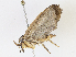  ( - CBG-A14974-E08)  @11 [ ] CreativeCommons - Attribution Share-Alike (2023) CBG Photography Group Centre for Biodiversity Genomics