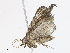  ( - CBG-A14974-G05)  @11 [ ] CreativeCommons - Attribution Share-Alike (2023) CBG Photography Group Centre for Biodiversity Genomics
