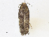  ( - CBG-A18343-E10)  @11 [ ] CreativeCommons - Attribution Share-Alike (2023) CBG Photography Group Centre for Biodiversity Genomics