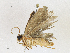 ( - CBG-A18344-D06)  @11 [ ] CreativeCommons - Attribution Share-Alike (2023) CBG Photography Group Centre for Biodiversity Genomics