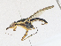  ( - CBG-A18344-G02)  @11 [ ] CreativeCommons - Attribution Share-Alike (2023) CBG Photography Group Centre for Biodiversity Genomics
