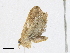  ( - CBG-A18345-A07)  @11 [ ] CreativeCommons - Attribution Share-Alike (2023) CBG Photography Group Centre for Biodiversity Genomics