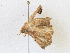  ( - CBG-A18345-A10)  @11 [ ] CreativeCommons - Attribution Share-Alike (2023) CBG Photography Group Centre for Biodiversity Genomics