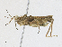  ( - CBG-A18346-C03)  @11 [ ] CreativeCommons - Attribution Share-Alike (2023) CBG Photography Group Centre for Biodiversity Genomics