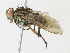  ( - CBG-A18346-D11)  @11 [ ] CreativeCommons - Attribution Share-Alike (2023) CBG Photography Group Centre for Biodiversity Genomics