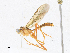  ( - CBG-A18347-H06)  @11 [ ] CreativeCommons - Attribution Share-Alike (2023) CBG Photography Group Centre for Biodiversity Genomics