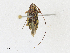  ( - CBG-A18348-A11)  @11 [ ] CreativeCommons - Attribution Share-Alike (2023) CBG Photography Group Centre for Biodiversity Genomics