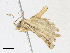  ( - CBG-A18348-E11)  @11 [ ] CreativeCommons - Attribution Share-Alike (2023) CBG Photography Group Centre for Biodiversity Genomics
