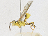  ( - CBG-A21610-C04)  @11 [ ] CreativeCommons - Attribution Share-Alike (2023) CBG Photography Group Centre for Biodiversity Genomics