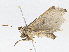  ( - CBG-A05431-F07)  @11 [ ] CreativeCommons - Attribution (2023) CBG Photography Group Centre for Biodiversity Genomics