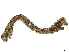  ( - CBG-A05431-H04)  @11 [ ] CreativeCommons - Attribution (2023) CBG Photography Group Centre for Biodiversity Genomics