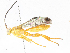  ( - CBG-A05432-G10)  @11 [ ] CreativeCommons - Attribution (2023) CBG Photography Group Centre for Biodiversity Genomics