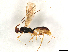  ( - CBG-A06134-C09)  @11 [ ] CreativeCommons - Attribution (2024) CBG Photography Group Centre for Biodiversity Genomics