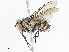  ( - CBG-A06219-A03)  @11 [ ] CreativeCommons - Attribution Share-Alike (2023) CBG Photography Group Centre for Biodiversity Genomics
