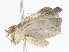  ( - CBG-A06219-D05)  @11 [ ] CreativeCommons - Attribution Share-Alike (2023) CBG Photography Group Centre for Biodiversity Genomics