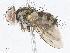  ( - CBG-A06219-E04)  @11 [ ] CreativeCommons - Attribution Share-Alike (2023) CBG Photography Group Centre for Biodiversity Genomics