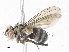  ( - CBG-A06219-E09)  @11 [ ] CreativeCommons - Attribution Share-Alike (2023) CBG Photography Group Centre for Biodiversity Genomics