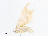  ( - CBG-A06220-F04)  @11 [ ] CreativeCommons - Attribution Share-Alike (2023) CBG Photography Group Centre for Biodiversity Genomics