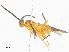  ( - CBG-A07078-A05)  @11 [ ] CreativeCommons - Attribution Share-Alike (2023) CBG Photography Group Centre for Biodiversity Genomics