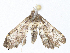  ( - CBG-A07078-B11)  @11 [ ] CreativeCommons - Attribution Share-Alike (2023) CBG Photography Group Centre for Biodiversity Genomics