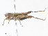  ( - CBG-A07078-E09)  @11 [ ] CreativeCommons - Attribution Share-Alike (2023) CBG Photography Group Centre for Biodiversity Genomics