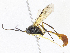  ( - CBG-A07080-B08)  @11 [ ] CreativeCommons - Attribution Share - Alike (2023) CBG Photography Group Centre for Biodiversity Genomics