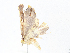  ( - CBG-A05434-A10)  @11 [ ] CreativeCommons - Attribution (2023) CBG Photography Group Centre for Biodiversity Genomics