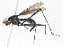  ( - CBG-A05435-A07)  @11 [ ] CreativeCommons - Attribution Share-Alike (2023) CBG Photography Group Centre for Biodiversity Genomics