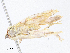  ( - CBG-A05436-E09)  @11 [ ] CreativeCommons - Attribution Share - Alike (2023) CBG Photography Group Centre for Biodiversity Genomics