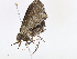  ( - CBG-A05436-G07)  @11 [ ] CreativeCommons - Attribution Share - Alike (2023) CBG Photography Group Centre for Biodiversity Genomics