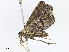  ( - CBG-A06263-C05)  @11 [ ] CreativeCommons - Attribution Share-Alike (2023) CBG Photography Group Centre for Biodiversity Genomics