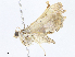  ( - CBG-A06263-C07)  @11 [ ] CreativeCommons - Attribution Share-Alike (2023) CBG Photography Group Centre for Biodiversity Genomics