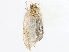  ( - CBG-A06263-E01)  @11 [ ] CreativeCommons - Attribution Share-Alike (2023) CBG Photography Group Centre for Biodiversity Genomics