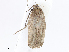  ( - CBG-A06263-F05)  @11 [ ] CreativeCommons - Attribution Share-Alike (2023) CBG Photography Group Centre for Biodiversity Genomics