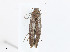  ( - CBG-A06266-B01)  @11 [ ] CreativeCommons - Attribution Share-Alike (2023) CBG Photography Group Centre for Biodiversity Genomics