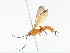  ( - CBG-A06266-F12)  @11 [ ] CreativeCommons - Attribution Share-Alike (2023) CBG Photography Group Centre for Biodiversity Genomics