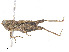  ( - CBG-A06266-G01)  @11 [ ] CreativeCommons - Attribution Share-Alike (2023) CBG Photography Group Centre for Biodiversity Genomics