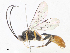  ( - CBG-A06267-A11)  @11 [ ] CreativeCommons - Attribution Share - Alike (2023) CBG Photography Group Centre for Biodiversity Genomics