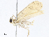  ( - CBG-A06267-C11)  @11 [ ] CreativeCommons - Attribution Share - Alike (2023) CBG Photography Group Centre for Biodiversity Genomics