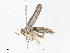  ( - CBG-A06267-D09)  @11 [ ] CreativeCommons - Attribution Share - Alike (2023) CBG Photography Group Centre for Biodiversity Genomics