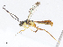  ( - CBG-A06268-E04)  @11 [ ] CreativeCommons - Attribution Share - Alike (2023) CBG Photography Group Centre for Biodiversity Genomics
