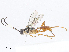  ( - CBG-A06268-E07)  @11 [ ] CreativeCommons - Attribution Share - Alike (2023) CBG Photography Group Centre for Biodiversity Genomics