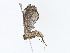 ( - CBG-A08726-C12)  @11 [ ] CreativeCommons - Attribution Share - Alike (2023) CBG Photography Group Centre for Biodiversity Genomics