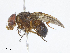 ( - CBG-A08727-D05)  @11 [ ] CreativeCommons - Attribution Share - Alike (2023) CBG Photography Group Centre for Biodiversity Genomics